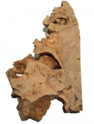 1x Oliven Wurzelholz Olivenbaum Holz f Epoxid 38x24cm x 54mm 