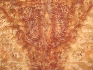 Kampher Wurzelholz Furnier Kampfer Holz 37x20-25cm 5 Blätter 