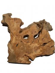 1x Oliven Wurzelholz Olivenbaum Holz f Epoxid 48x47cm x 54mm 