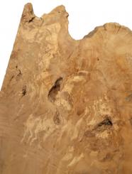 1x Oliven Wurzelholz Olivenbaum Holz f Epoxid 58x38cm x 55mm 