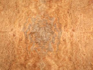 Korallen Wurzelholz Furnier Maser 51x32-38cm 2 Blätter 