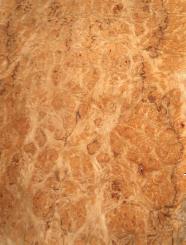 Korallen Wurzelholz Furnier Maser 106x21-28cm 2 Blätter 