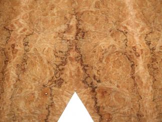 Korallen Wurzelholz Furnier Maser 109x19-28cm 2 Blätter 