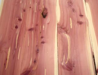 3x Aromatische Rotzeder Zeder Holz 82x21cm x 24mm #K3 