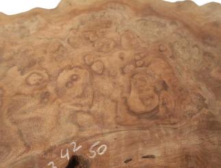 1x Nussbaum Wurzelholz Maser Baumscheibe 73x42cm x 50mm 