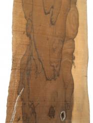 1x Ziricote Holz Zirikote Edelholz 100x23-29cm x 20-24mm 