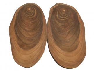 2x Teak wilde Baumscheibe Teakholz 30x17cm x 19mm #M8 