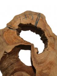 1x Oliven Wurzelholz Olivenbaum Holz f Epoxid 49x29cm x 50-51mm 