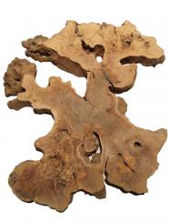 1x Oliven Wurzelholz Olivenbaum Maser Holz 63x59cm x 49-52mm 