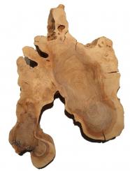 1x Oliven Wurzelholz Olivenbaum Maser Holz 57x34cm x 57-58mm 