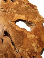 1x Oliven Wurzelholz Olivenbaum Maser Holz 69x55cm x 40mm 