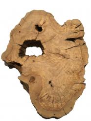 1x Oliven Wurzelholz Olivenbaum Maser Holz 44x34cm x 58mm 