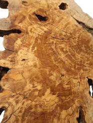 1x Oliven Wurzelholz Olivenbaum Maser Holz 65x46cm x 48-50mm 