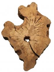 1x Oliven Wurzelholz Olivenbaum Maser Holz 52x39cm x 57-59mm 