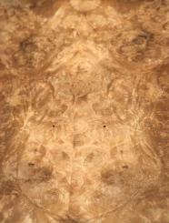 Nussbaum Wurzelholz Furnier Maser 38x14-16cm 7 Blätter 