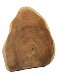 1x Teak wilde Baumscheibe Teakholz Hirnholz 42x33cm x 58-60mm 