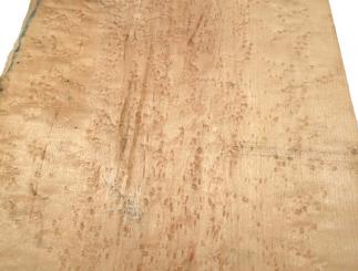 1x Vogelaugenahorn Holz Vogelaugen Tonholz 40x24-25cm x 46mm 
