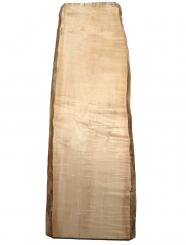 1x Ahorn Riegel Holz Riegelahorn B-Ware 89x24-29cm x 23-24mm 