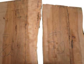 1x Apfelbaum Holz f Epoxid wormy 70x40-41cm x 43-44mm #70 