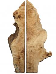 2x Pappel Maser Wurzelholz 76x6-20cm x 33mm #R5 