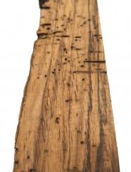 Zebrano Holz für Epoxid rustikal 56x11-16cm x 64mm wormy 