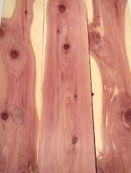3x Aromatische Rotzeder Zeder Holz 106x17cm x 24mm #R5 