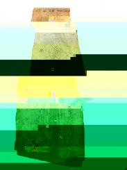 Birken Maser Brett Maserbirke Tonholz 61x16/24cm 40/100mm 