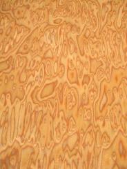 Kirsche Maser SaRaiFo Kirschbaum Furnier FEIN 250x32cm 