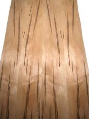 Ahorn Ambrosia Maple Furnier wild 4Y 244x19/20cm 2 Blätter 