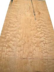 Muschel Ahorn quilted maple Tonholz Klangholz 65x37cm 47/50mm 