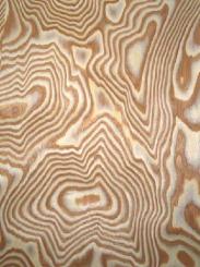 Esche Maser Furnier Wurzelholz SaRaiFo Holzfurnier 250x33cm 