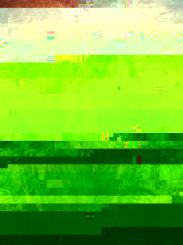 Platane Maser Regenbogen Furnier 2A 97x58/60cm 3Blatt 