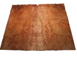Platane Maser Regenbogen Furnier 2A 97x58/60cm 2Blatt 