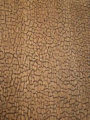 Golden Snake Shou Sugi Ban Furnier Snakewood Schlangenholz 1m 