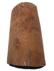Amboina Maser Wurzelholz Knolle 32x17/19cm 62/105mm  T398 