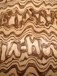 Zebrano Maser Wurzelholz Furnier SaRaiFo Zebrawood 250x31cm 
