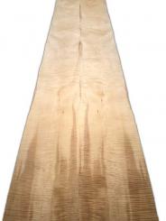 Ahorn Riegel Furnier Kern geriegelt +++ E 241x33/37cm 1 Blatt 