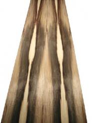 Feuertulpen Furnier Holzfurnier X4 251x22/23cm 2 Blätter 
