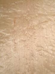 Muschel  Ahorn Furnier Tonholz quilted Maple 3M 270x23/27cm 1 B 