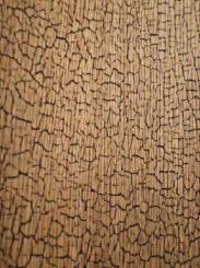 Golden Snake Shou Sugi Ban Furnier Snakewood Schlangenholz 2m 