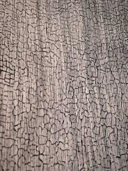 White Snake Shou Sugi Ban Furnier Snakewood Schlangenholz 200x29cm 
