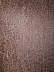 Black Oak Shou Sugi Ban Furnier Snakewood Schlangenholz 200x29cm 