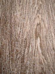 Vintage Snake Shou Sugi Ban Furnier Snakewood Schlangenholz 200x29cm 
