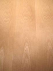 Buche Furnier Holz Buchenfurnier mit Vlies 250x30-33cm 