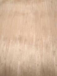 Ahornfurnier Maple Furnier Ahorn Furnierholz mit Vlies 250x61/62cm 