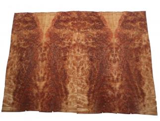 Kampher Wurzelholz Furnier Kampfer Maser Z 62x22cm 4 Blätter 