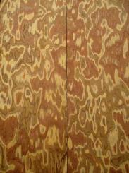 Olivenholz Maser Holz Wurzelholz SaRaiFo 62x21cm x 30-33mm 