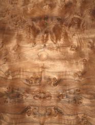 Nussbaum Wurzelholz Furnier Maser X 71x35cm 7 Blätter 