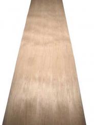 Ahornfurnier Maple Furnier Ahorn Furnierholz B 240x61/62cm 