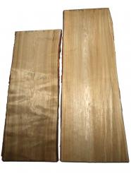 Sassafras Holz Brett Edelholz 120x40-42cm x 23mm 
